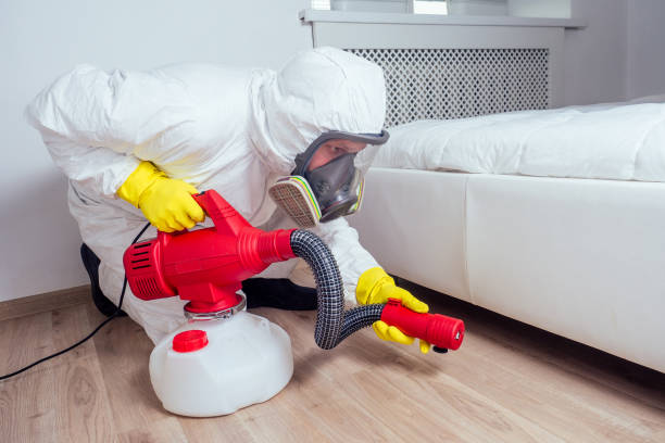 Best Wasp Removal Services  in Mansfield Center, CT