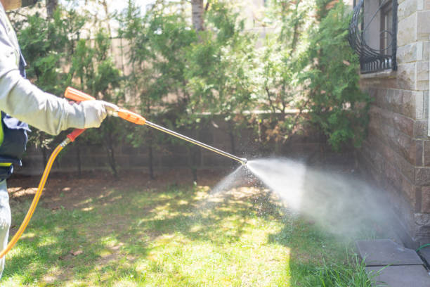 Best Affordable Pest Control Services  in Mansfield Center, CT