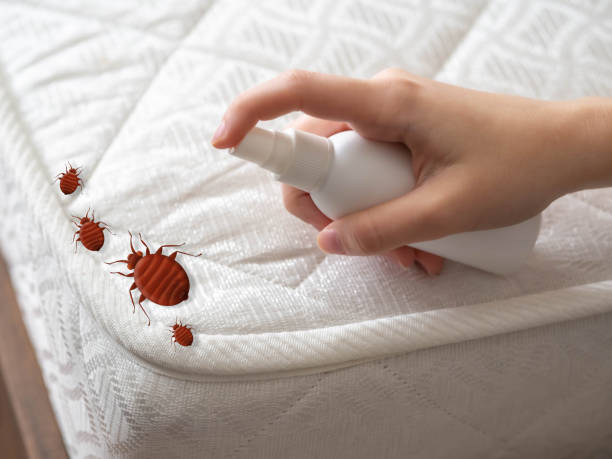 Best Pest Removal Services  in Mansfield Center, CT