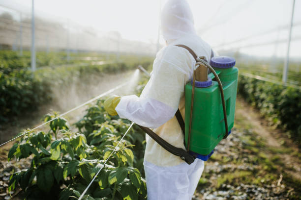 Best Local Pest Control Services  in Mansfield Center, CT